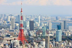 ARISTO三田_東京タワー.jpeg