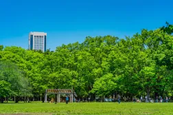 ARISTO渋谷_代々木公園.jpg