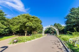ARISTO下北沢_ 代々木公園.jpeg