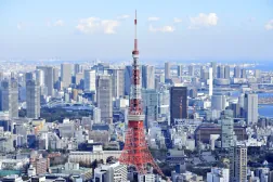 ARISTO虎ノ門_東京タワー.jpg
