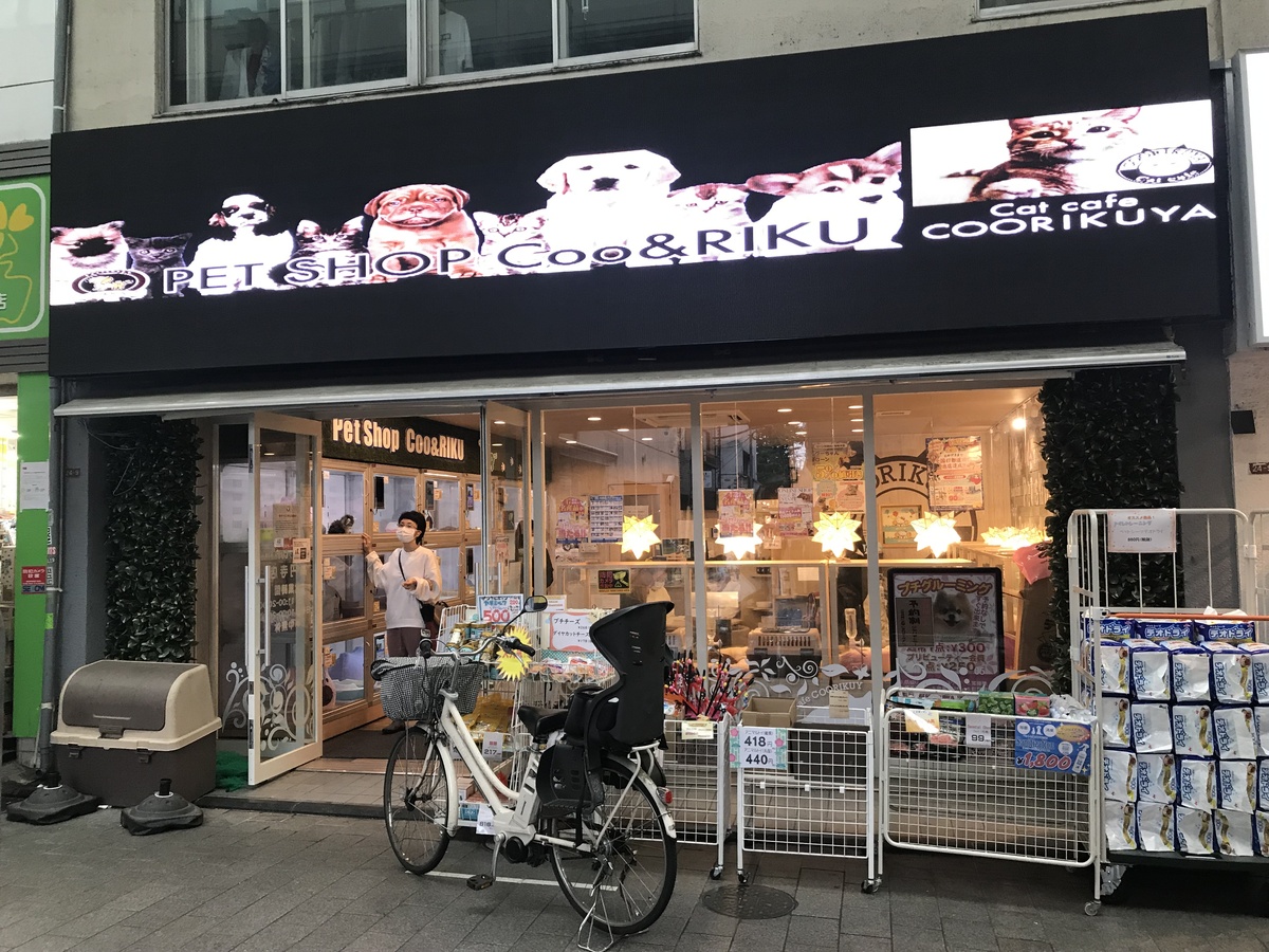 ARISTO高円寺_ペットショップ・猫カフェ.JPG