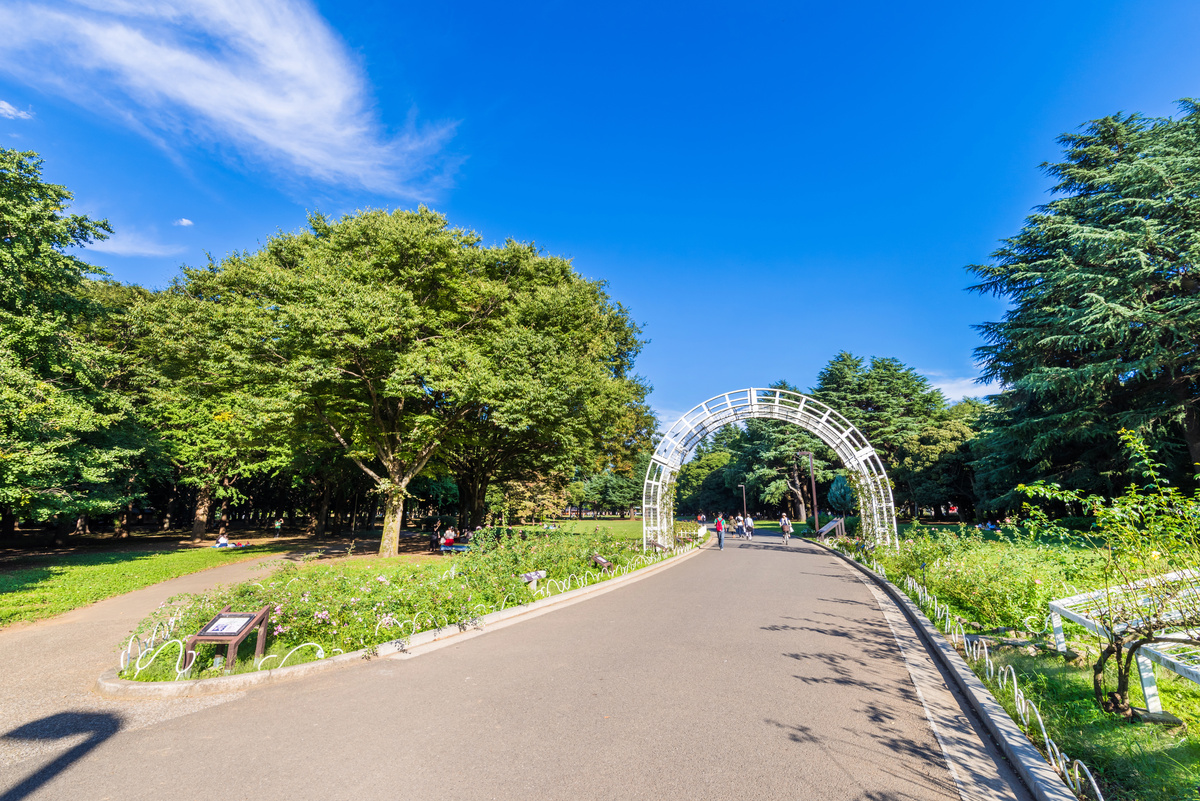 ARISTO下北沢_ 代々木公園.jpeg