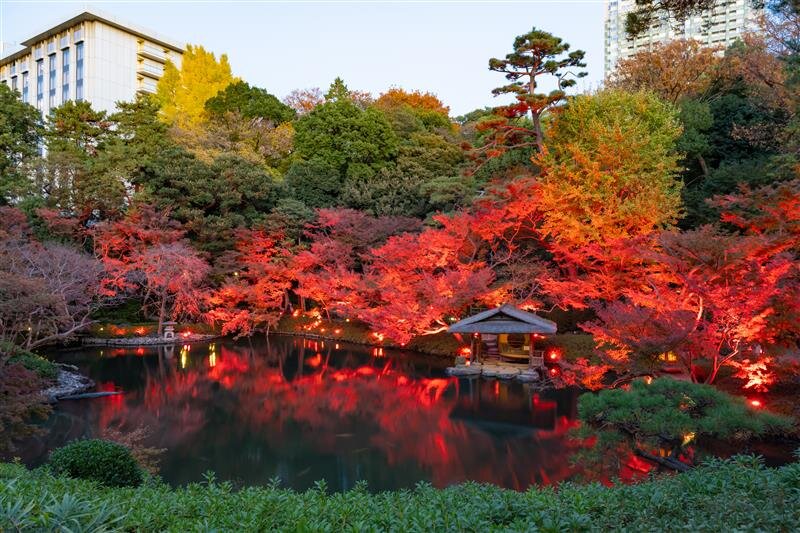 ARISTO白金高輪_周辺写真 (2).jpeg