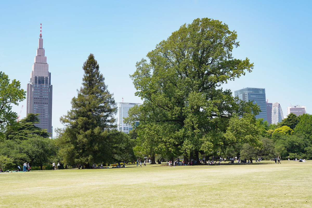 ARISTO西新宿_周辺写真 (2).jpeg